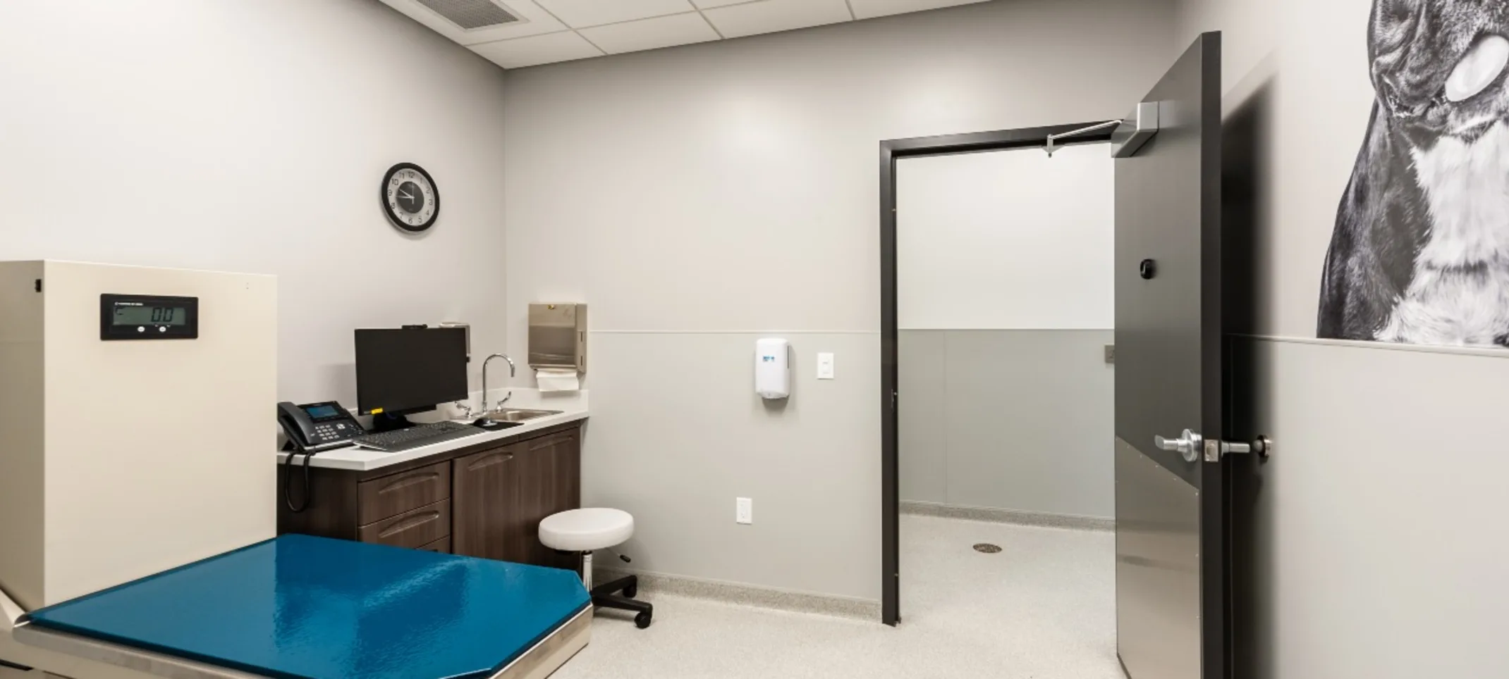 Animal Hospital in Byron Center, MI Animal Emergency & Specialty Hospital Byron Center Animal Hospital in Byron Center, MI Animal Emergency & Specialty Hospital Byron Center